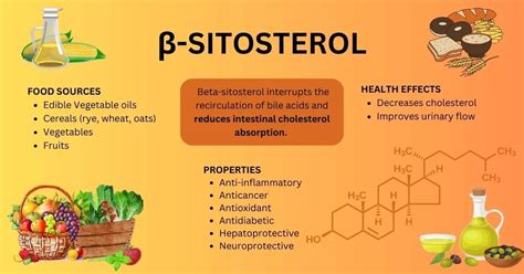 10 Beta Sitosterol Foods To Eat .